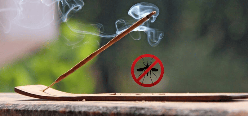 Best Mosquito Repellent Incense Sticks